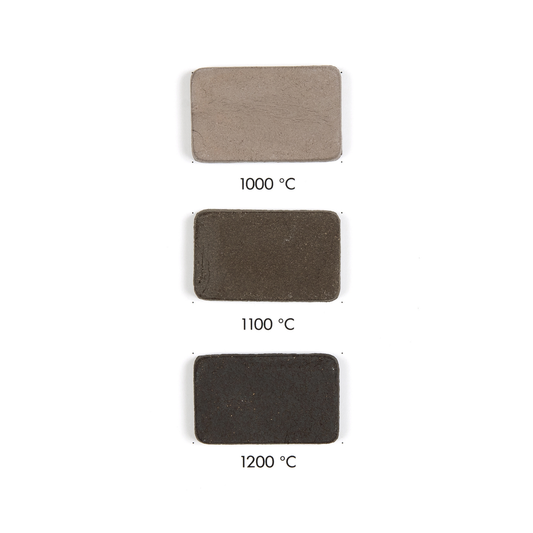 Goerg & Schneider 376