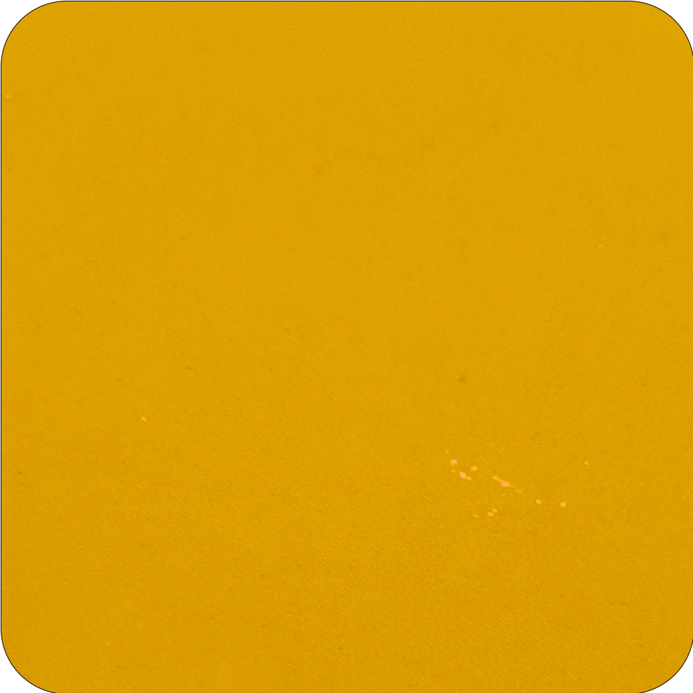 Mustard Yellow Underglasyr