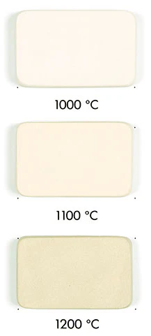 Goerg & Schneider 254