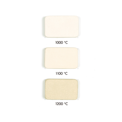 Goerg & Schneider 284