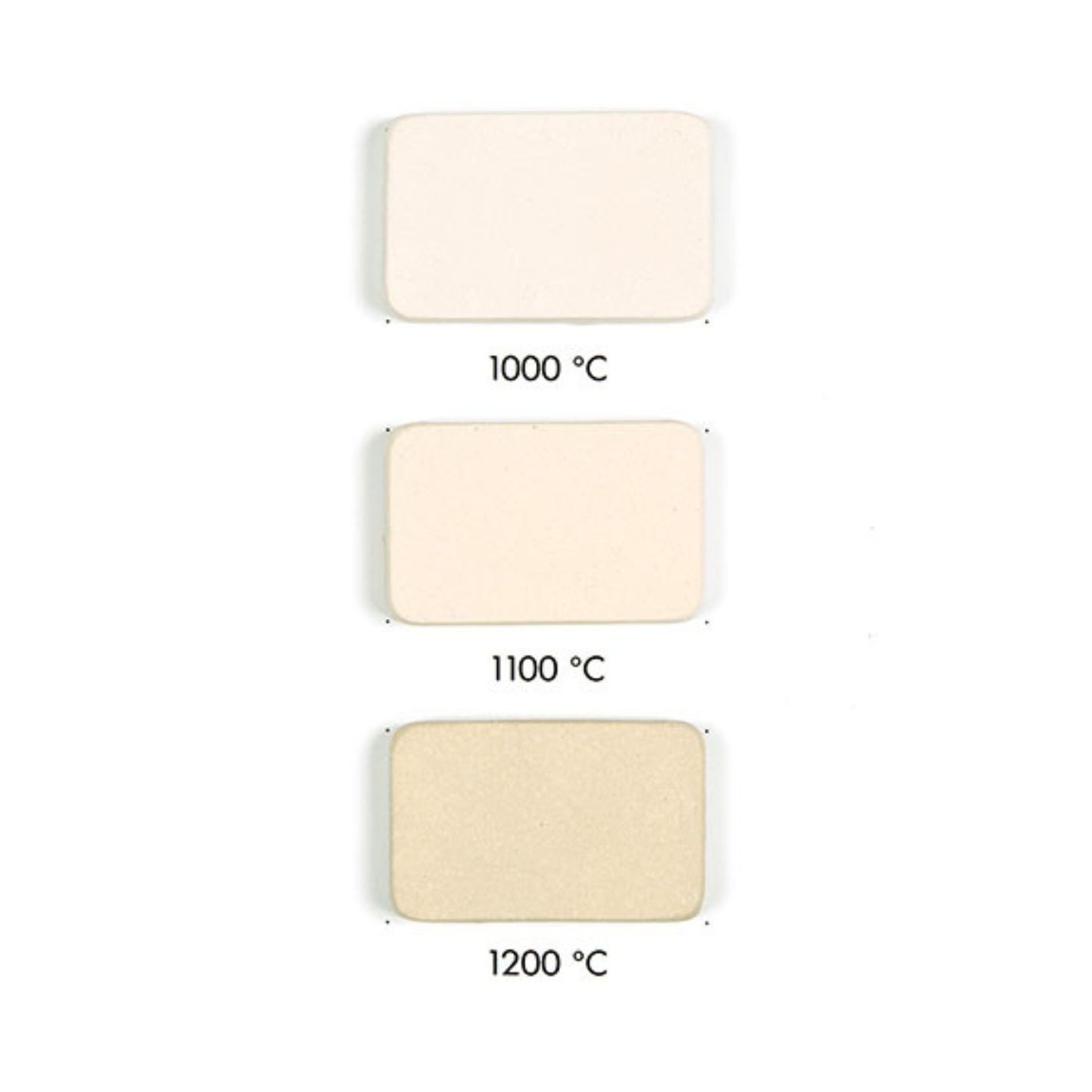 Goerg & Schneider 264