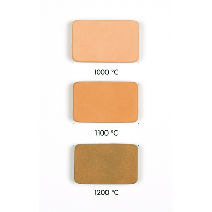 Goerg & Schneider 359