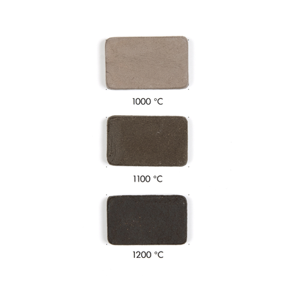 Goerg & Schneider 376