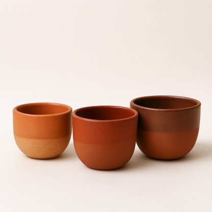 Goerg & Schneider 551