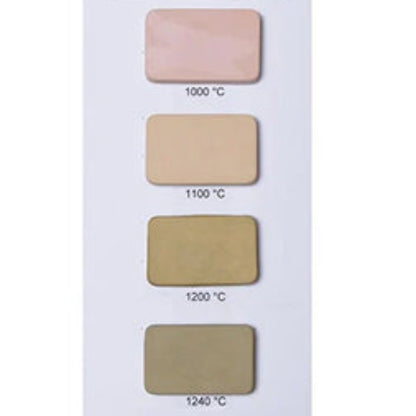 Goerg & Schneider 391