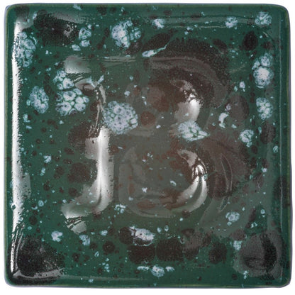 BOTZ:s provplatta med 9507 Ivy.